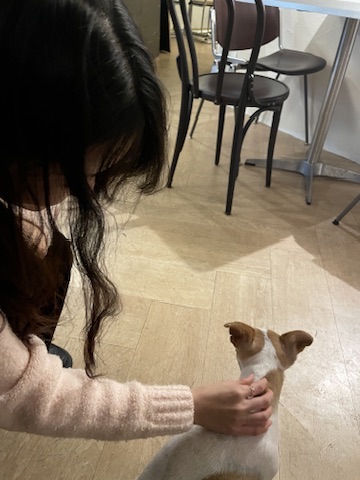 모리츠 플라츠에서 도비와 함께 찍은 사진